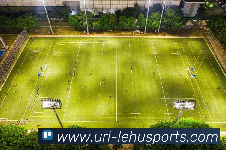 乐虎体育平台生态图